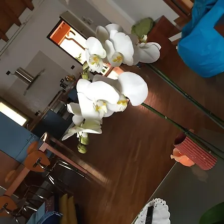Casa ベルガモ